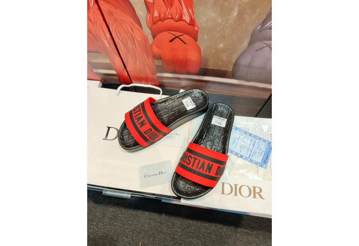 D1OR Slides