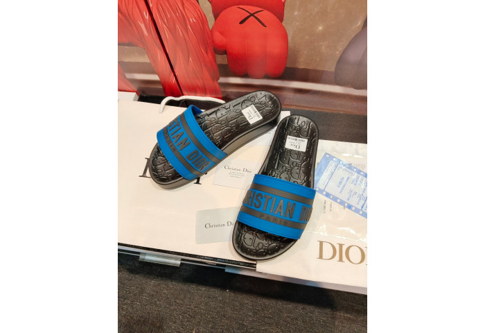 D1OR Slides