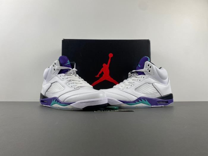Air Jordan 5 Retro Grape（2013） 136027-108