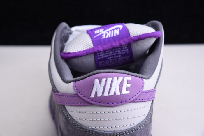 nike dunk sb low purple pigeon 304292-051