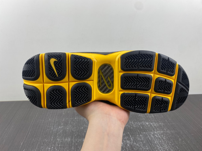 nike zoom kobe 2 carpe diem 316022-001