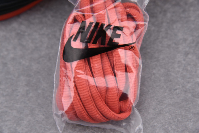 nike sb dunk low black pigeon 883232-008