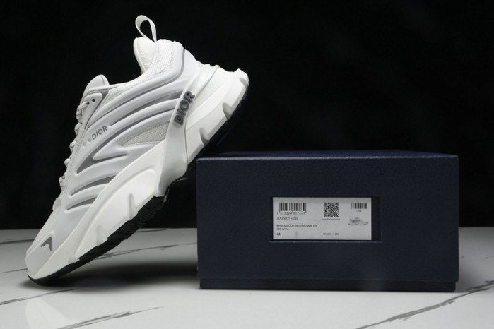 D1OR B44 Sneakers