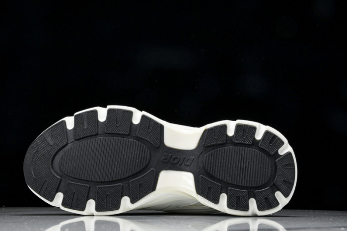 D1OR B44 Sneakers