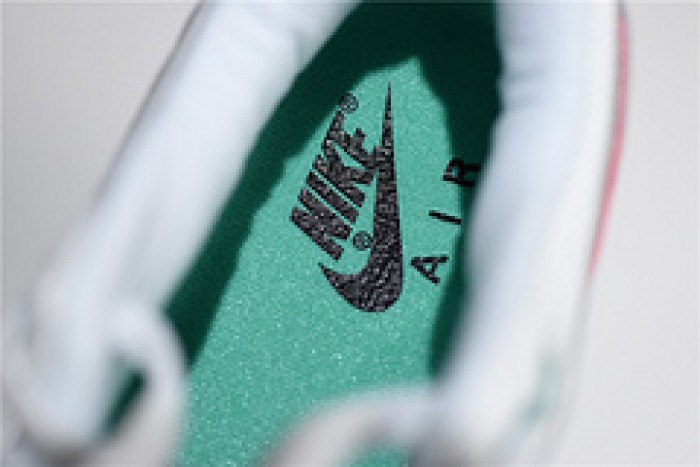 Nike Air Max Anniversary Watermelon AH8145-106