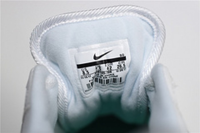 Nike Air Max Anniversary Watermelon AH8145-106